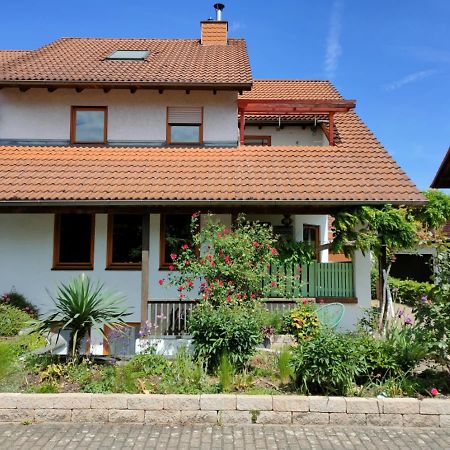Soutterain - Wohnung Mit Senkgarten Weingarten  Екстер'єр фото