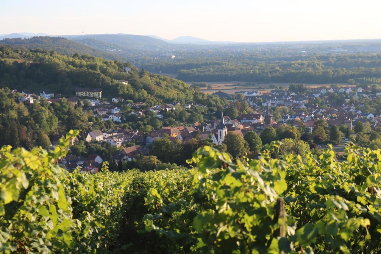 Soutterain - Wohnung Mit Senkgarten Weingarten  Екстер'єр фото